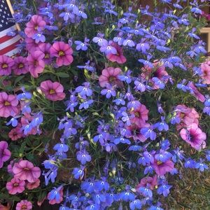 Meet your Posher, Kathleen